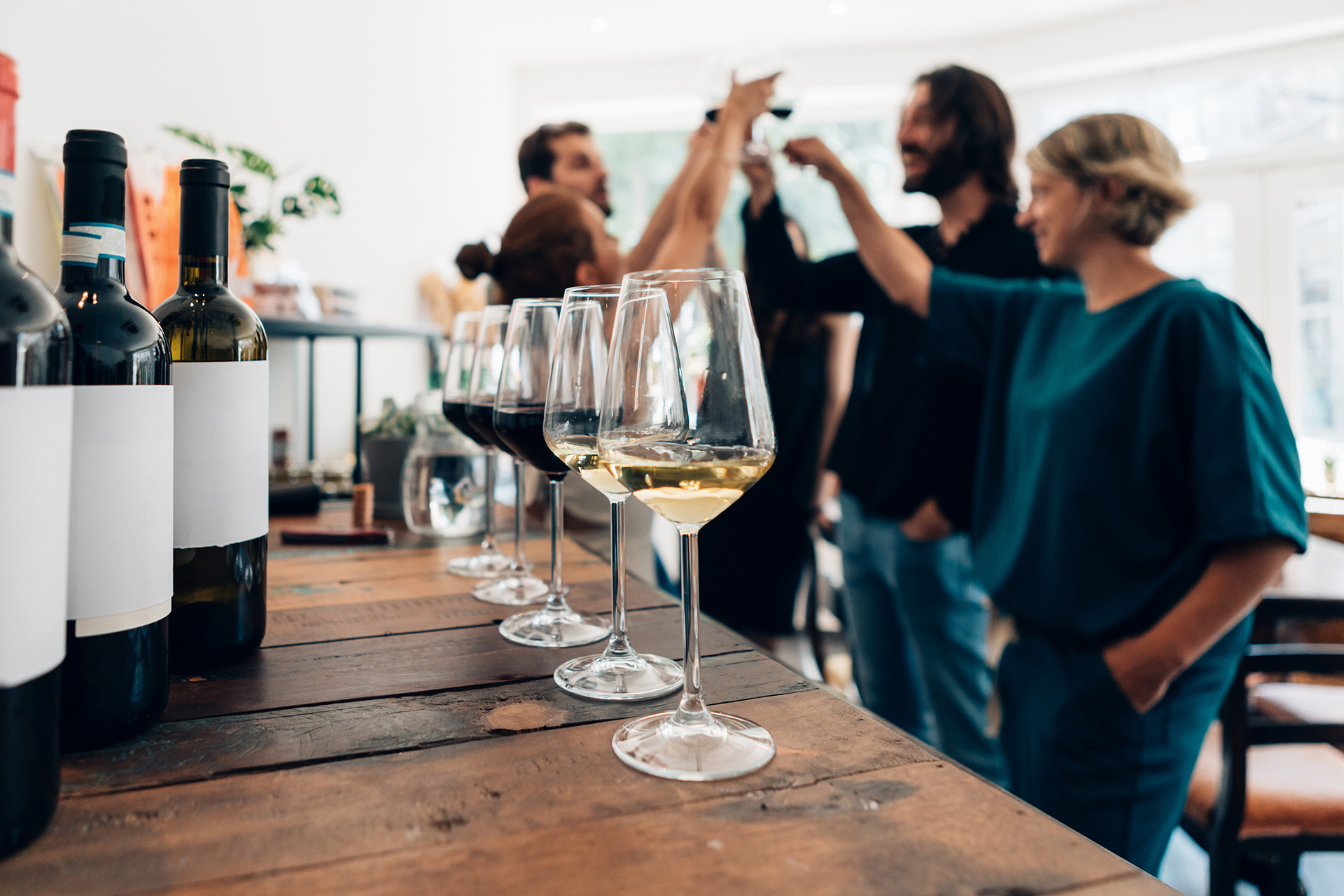 5 Best Wine Farms in Cape Town